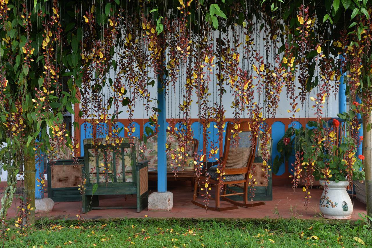 Balsora Hotel Boutique El Edén Exteriör bild